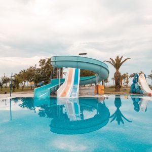 _DSF7529